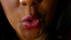 ATK Exotics: Интервью