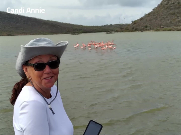 Candi Annie: Crucero Por El Caribe Con Sexy MILF GILF Candi Annie