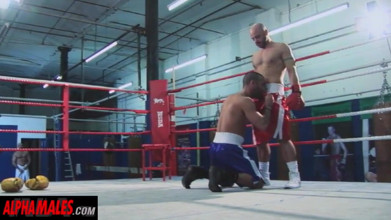 Alphamales - Sweaty Gay Threesome at the Boxing Club | Faphouse