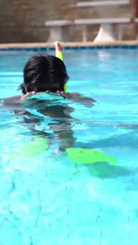 Schwimmen, gestopft und draußen spielen