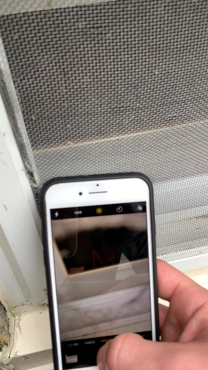 Jaycee starr: Capturados se masturbando por namorado