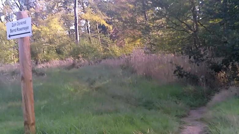 CoraBitch: Kongkek di parkstation Bornbruch