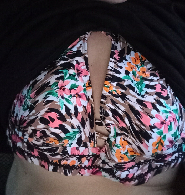 Jamie Engle: Jamie Piss Hra