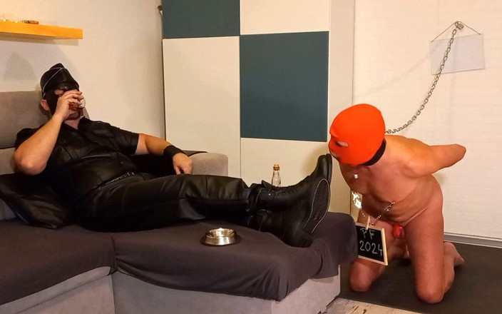 Master Dansan: Kf 2024