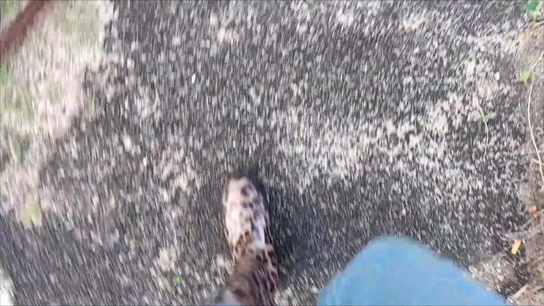 Kinky Lyrical: Plimbare lungă în Gumboots de Kinkylyrical