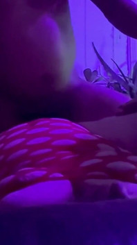 Boğa Liz ile gece geç saatlerde randevu düz sert yarak alıyor