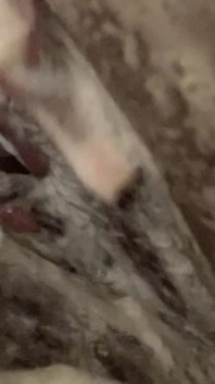 Soapy Shower Massage for a Purrrfectly Clean Pussy