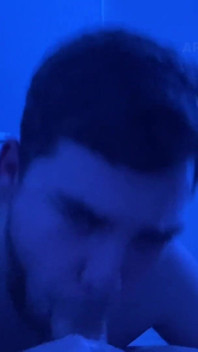 Agresivní Šukání Krále Spodního Cho Do Krku Na Ptáka