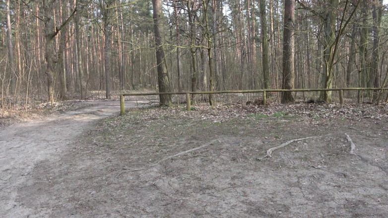 German amateur - 100% German hardcore videos: Plaisir en plein air avec une salope allemande excitée