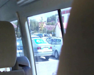 Popp Sylvie: Public dogging in town