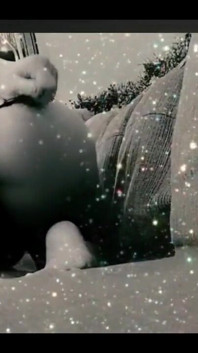 Who Doesn't Love a Good Ass Tease?