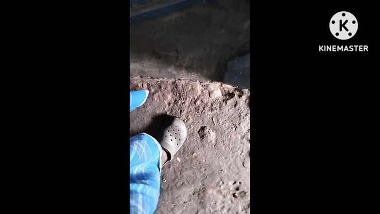 Kalabaro: Plná desi indka