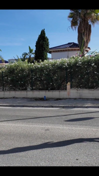 The Moment When I Must Cross the Main Road to Get Back Home Naked!