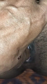 Indiana menina fodendo com seu namorado, Xmaster, xvideos, xmaster grátis vídeo pornô, vídeo pornô indiano,