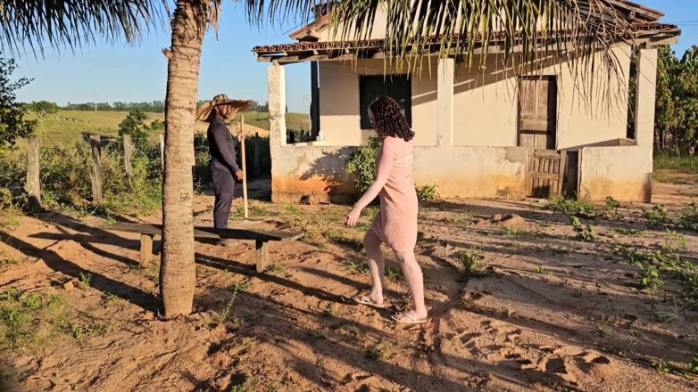 Lorrany exotica: I Saw My Neighbor Win Yard in the Hot Sun...