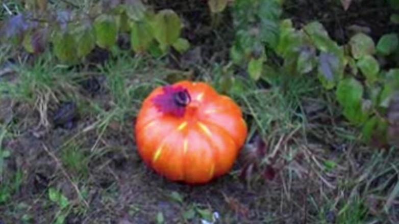 Lydia Privat: Przygotowania do Halloween