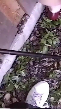 Abuela vintage porno de los 80 recibe un facial