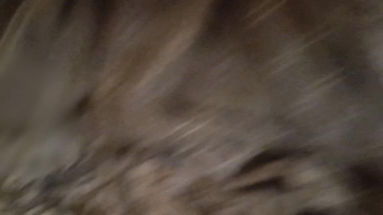 Ketki007: 내 마누라를 따먹어