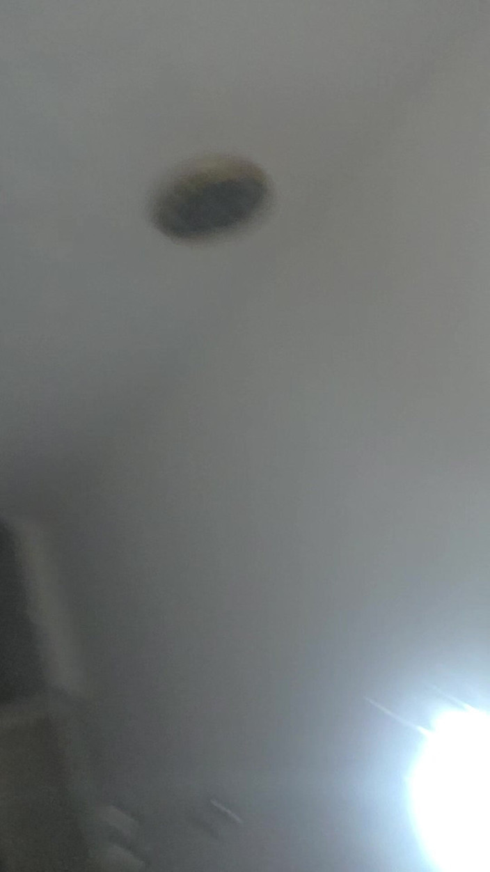 Gokmen Yaman: Kürt eşcinsel çok sert ve derin sikişiyor