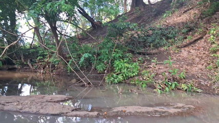 BMCs: Na Cachoera Perdida Longe De Tudo Excitada Procura De Um...