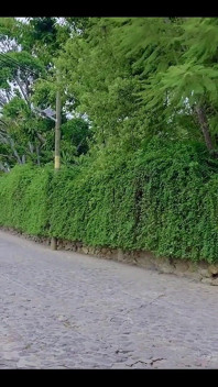 Que prazer encontrar com velhos amigos!