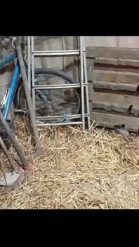 Lesbická otrokyně v kupce sena 1 - Pohled