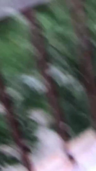 Ho messo questi calzini per te patrigno