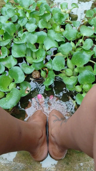 Chilling by the Water Lillies