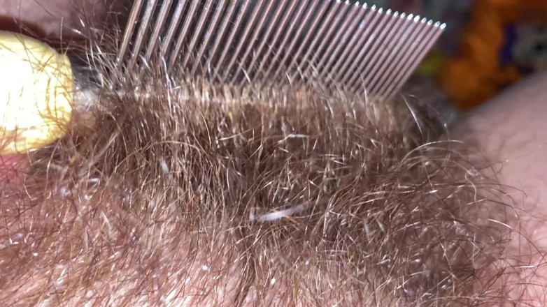 Cuteblonde666: Brushing My Bush