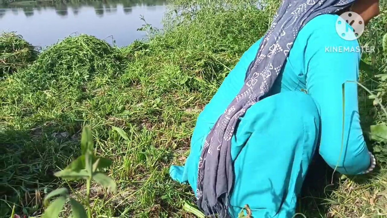 Savita5343: Трахнул мою сводную сестру-невестку раком на горчичном поле на Ганга-банке