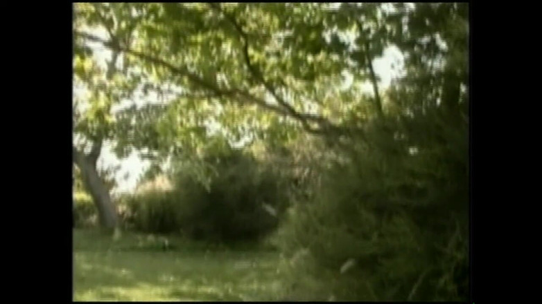 The hunters TV - (The best full movies xxx): A Fucking Long Walk. (complect Film)