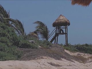 Dom Rod: Nafsu di pantai dream 1