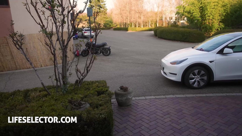 LifeSelector: Córka sąsiada Alice Zaffyre wkrada się dla przyjemności