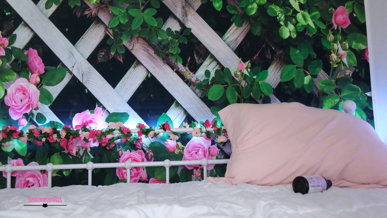 Destination Kat: Mokre dźwięki