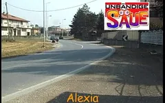 Unbandige Ferkel - nespoutná prasátka
