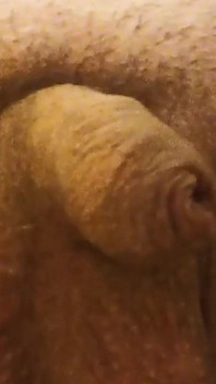 想和爸爸依偎吗？