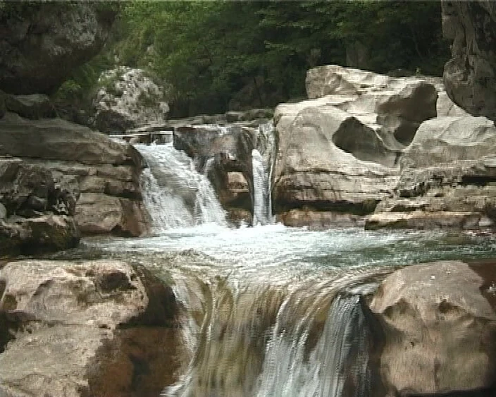 MSTX: Juana generación x4