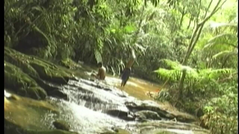 Boys boyz: Jungle Anal Stretch - Mature Studs Pounding Deep