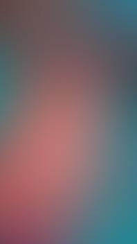 29556591