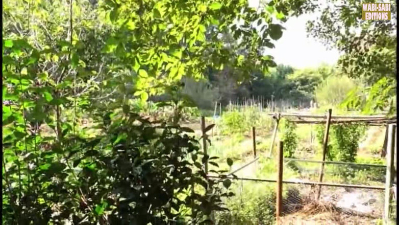 MILF, Wabi-Sabi Editions: Flykt från landsbygden där frisinnade mogna kvinnor omfamnar vuxen frihet...