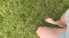 Feet: 赤脚走在草地上
