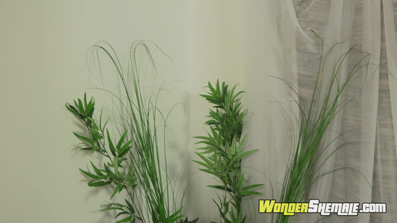 Wonder Shemale: Keiharde latina tgirl streelt en explodeert sperma over zichzelf