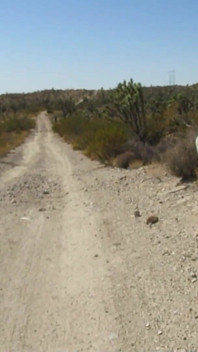 Caminhada no deserto masturbando 9