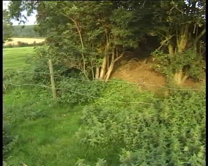 British Blue Movies: Big Omar's British Adventures: Bitch Inspection (2002)