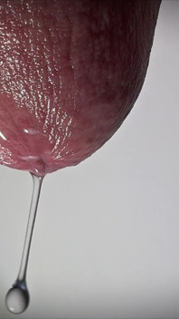 Penis Tropft