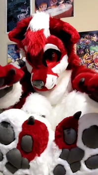 Jerking off and Showing Footpaws in Full-body Fursuit