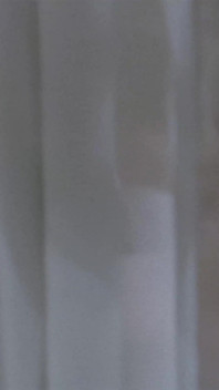 The Maid's Secret Anal Fantasy