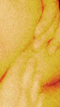 Orange sexy hintern traum
