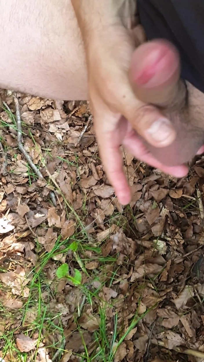 Aaron91: 裸で森を歩いている。オナニーできる場所を探しています!