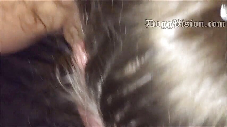 DoggVision: Волосатое очко и камшот на лицо в видео от первого лица